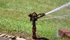 Sprinkler Head