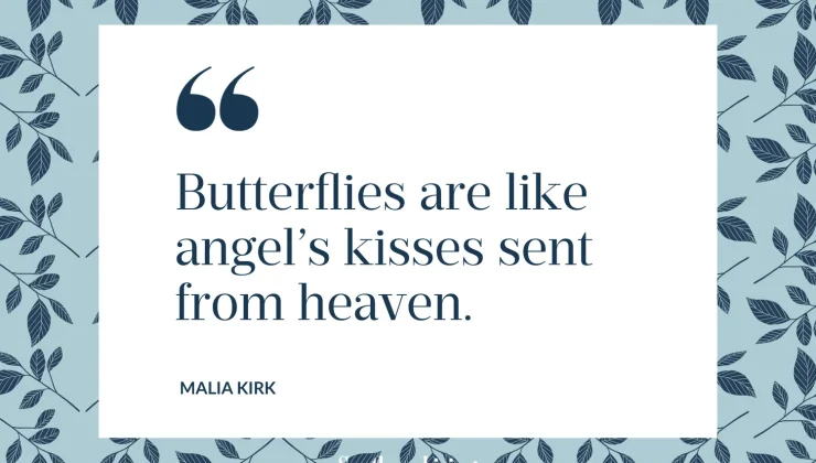 Unique Butterfly Quotes Short