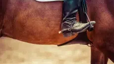 Western Spur
