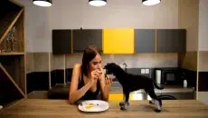 Food Choices