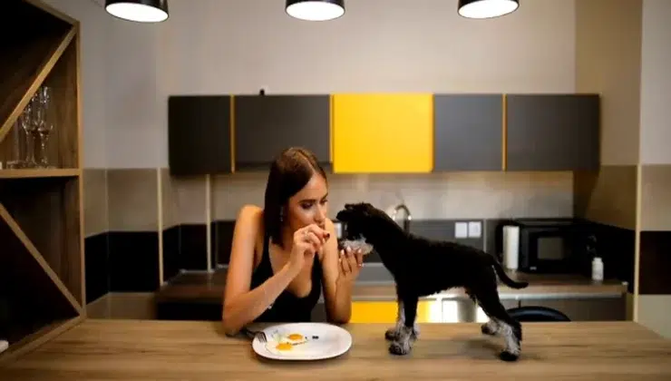 Food Choices