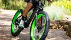 Standard Bicycle