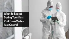 Expect During