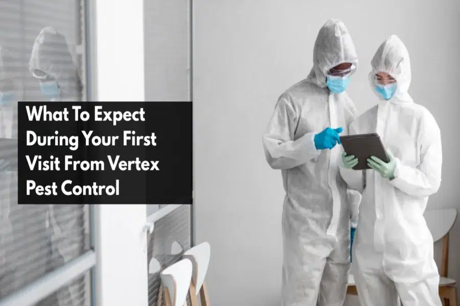 What To Expect During Your First Visit From Vertex Pest Control