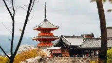 Exploring Kyoto A Cultural Travel Guide Beyond the Temples