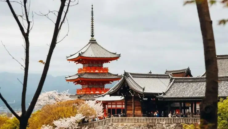 Exploring Kyoto A Cultural Travel Guide Beyond the Temples
