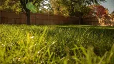 Grounds Maintenance