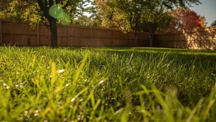 Grounds Maintenance