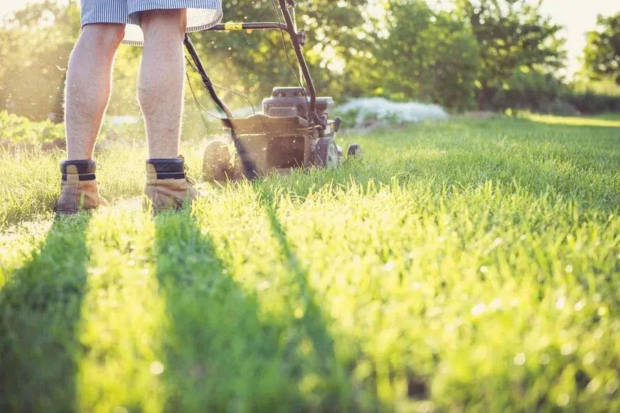 Grounds Maintenance