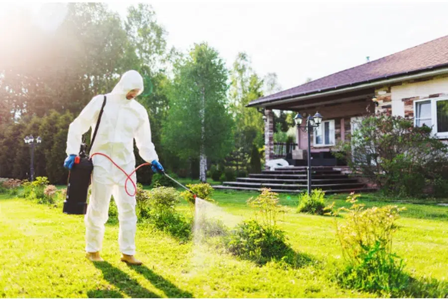 Pest Detection Saves
