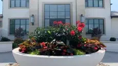 Curb Appeal
