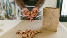 Boutique Pet Brands