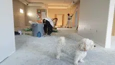 Renovation
