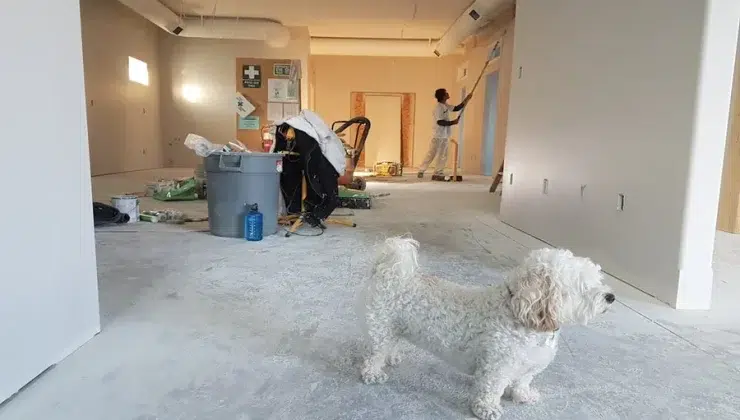 Renovation