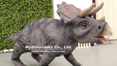 Dinosaur