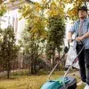 Healthy Lawn