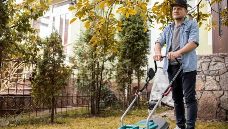 Healthy Lawn