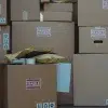 How to Prepare Fragile Items for Shipping to Bulgaria