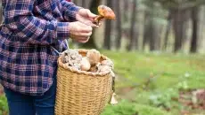 The Weirdest Hobbies People Swear By (And Why They’re Good for You)