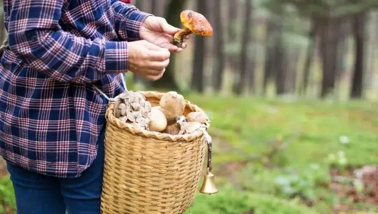 The Weirdest Hobbies People Swear By (And Why They’re Good for You)
