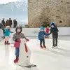 Synthetic Ice Home Rinks