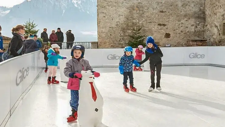 Synthetic Ice Home Rinks