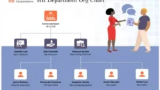 Visual Organization