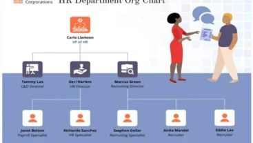 Visual Organization