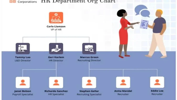 Visual Organization