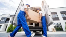 Glove Delivery