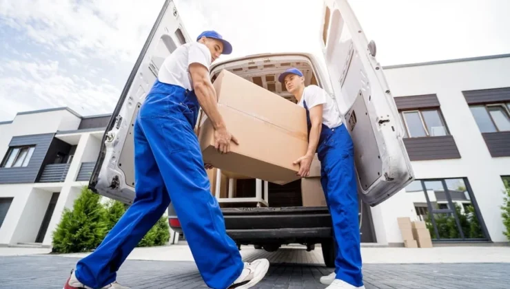 Glove Delivery