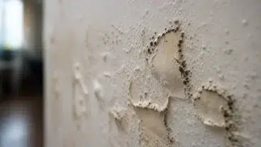 Damage