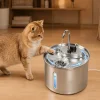 Stainless Steel Pet